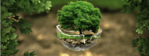 Greenwashing